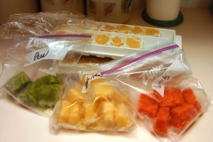 Organic Baby Food