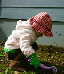 SweetnessYard Working in the yard.