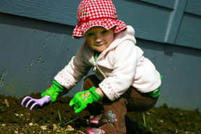 SweetnessYard2 Weeding.