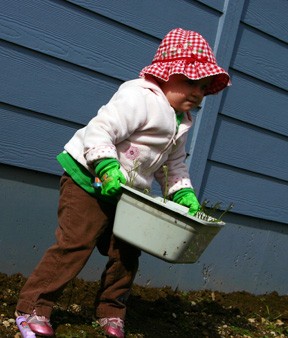 SweetnessYard3 Taking the weeds to the compost.