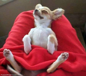 relax