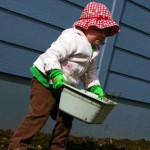 SweetnessYard3